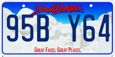 SD license plate 95BY64