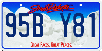 SD license plate 95BY81