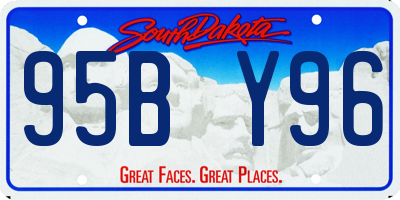SD license plate 95BY96
