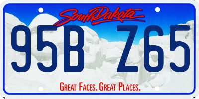 SD license plate 95BZ65