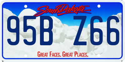 SD license plate 95BZ66