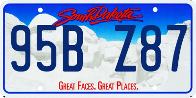 SD license plate 95BZ87