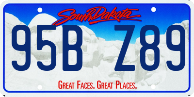 SD license plate 95BZ89