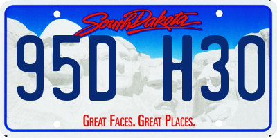 SD license plate 95DH30