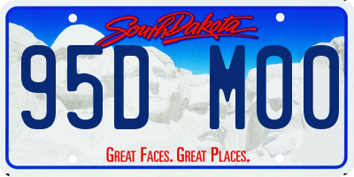 SD license plate 95DM00