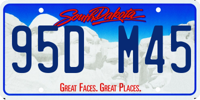 SD license plate 95DM45