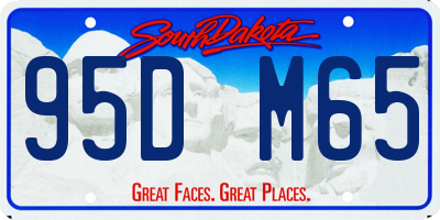 SD license plate 95DM65