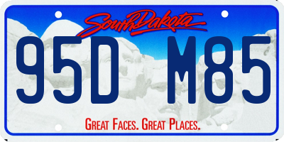 SD license plate 95DM85