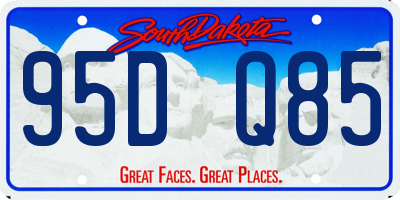 SD license plate 95DQ85