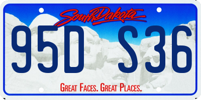 SD license plate 95DS36