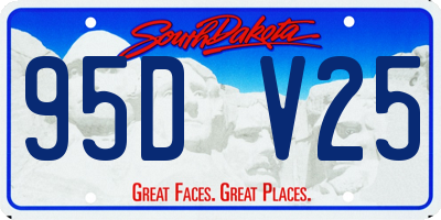 SD license plate 95DV25