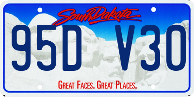 SD license plate 95DV30