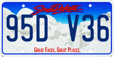 SD license plate 95DV36