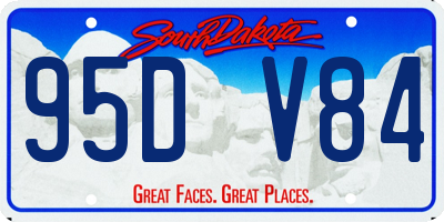 SD license plate 95DV84