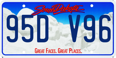 SD license plate 95DV96