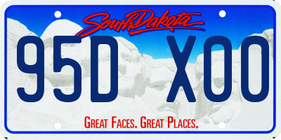 SD license plate 95DX00