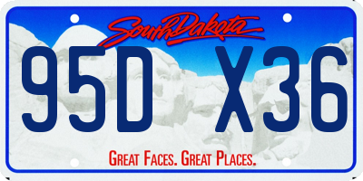 SD license plate 95DX36