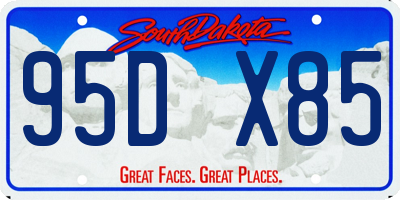 SD license plate 95DX85