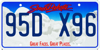 SD license plate 95DX96
