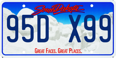 SD license plate 95DX99