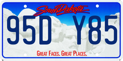 SD license plate 95DY85