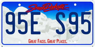 SD license plate 95ES95