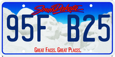 SD license plate 95FB25