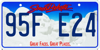 SD license plate 95FE24
