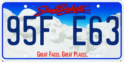 SD license plate 95FE63