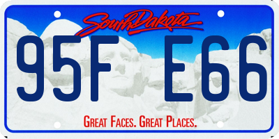 SD license plate 95FE66