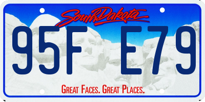 SD license plate 95FE79