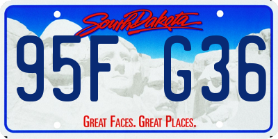 SD license plate 95FG36