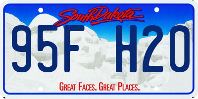 SD license plate 95FH20