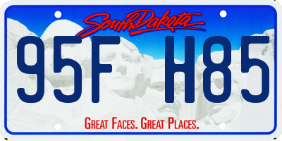 SD license plate 95FH85