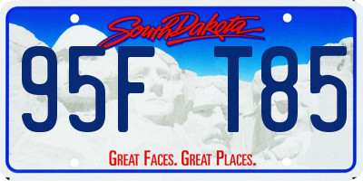 SD license plate 95FT85