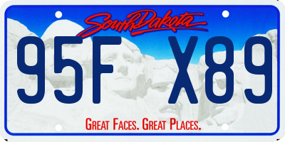SD license plate 95FX89