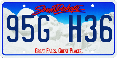 SD license plate 95GH36