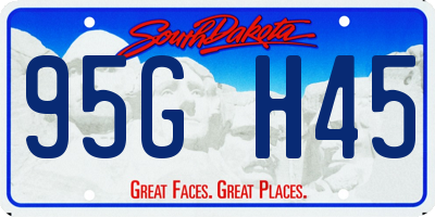 SD license plate 95GH45