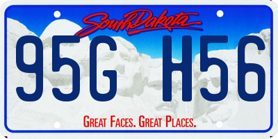 SD license plate 95GH56