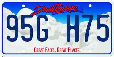 SD license plate 95GH75