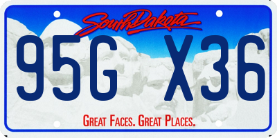 SD license plate 95GX36