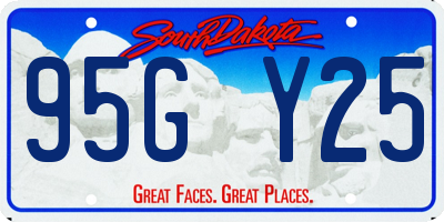 SD license plate 95GY25