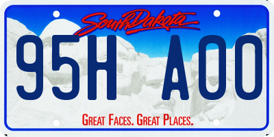 SD license plate 95HA00