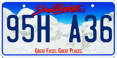 SD license plate 95HA36