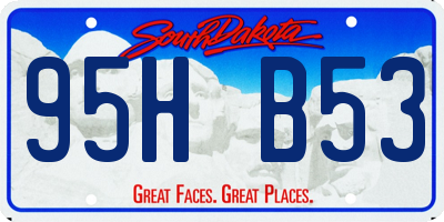 SD license plate 95HB53