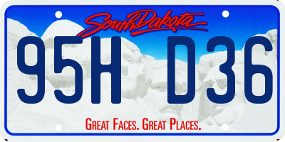 SD license plate 95HD36