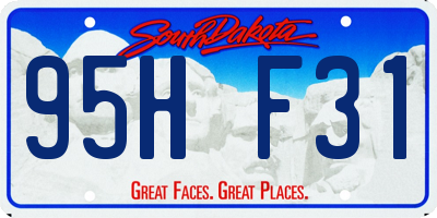 SD license plate 95HF31