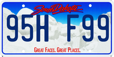 SD license plate 95HF99