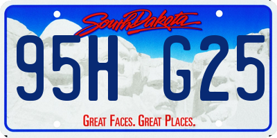 SD license plate 95HG25