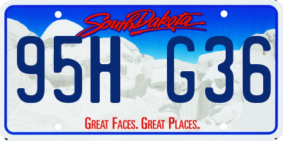 SD license plate 95HG36